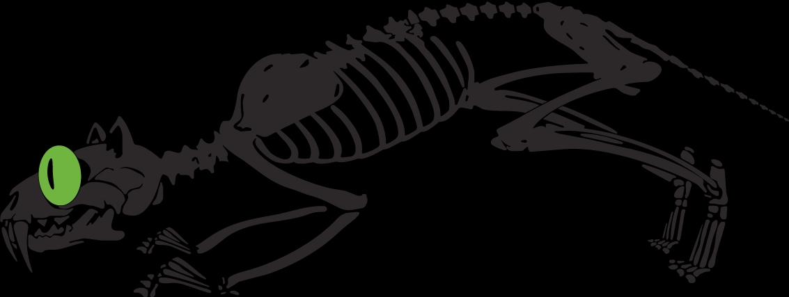 Fahrschule Gisler Geko